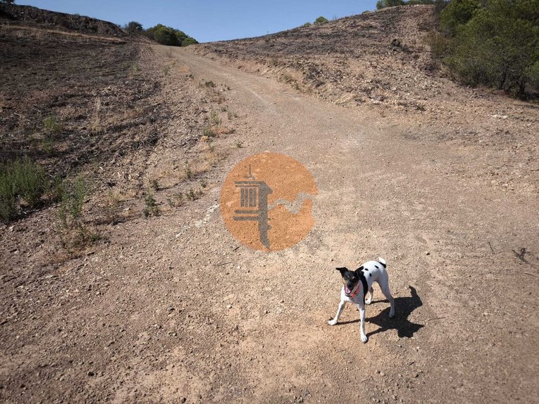 Plot for Sale in Azinhal, Castro Marim, Portugal 9