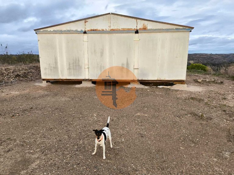 Plot for Sale in Azinhal, Castro Marim, Portugal 5