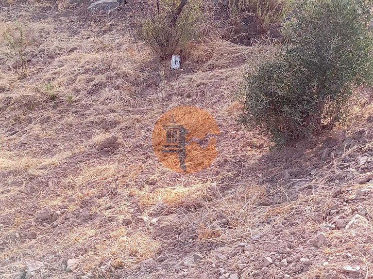 Plot for Sale in Conceição, Tavira, Portugal 18