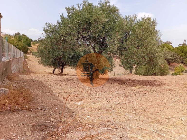 Plot for Sale in Vila Nova De Cacela, Vila Real De Santo António, Portugal 8