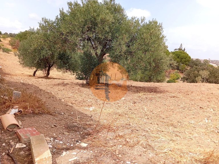 Plot for Sale in Vila Nova De Cacela, Vila Real De Santo António, Portugal 10