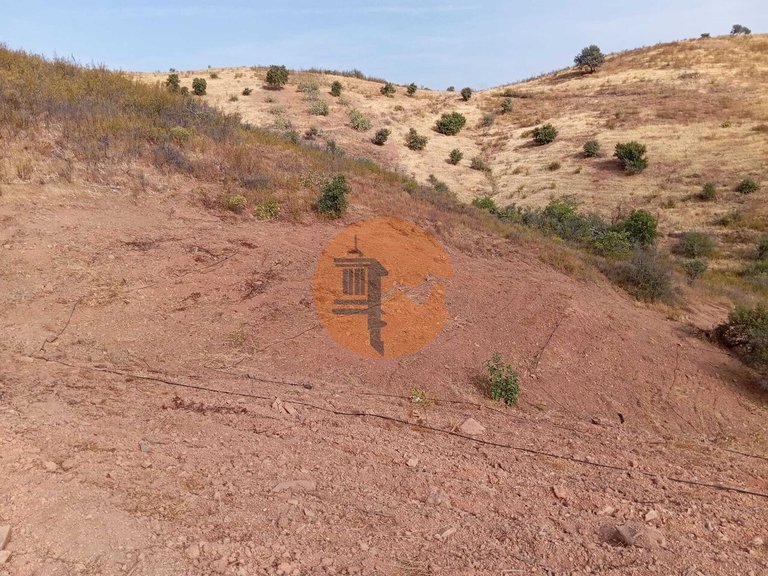 Plot for Sale in Conceição, Tavira, Portugal 2