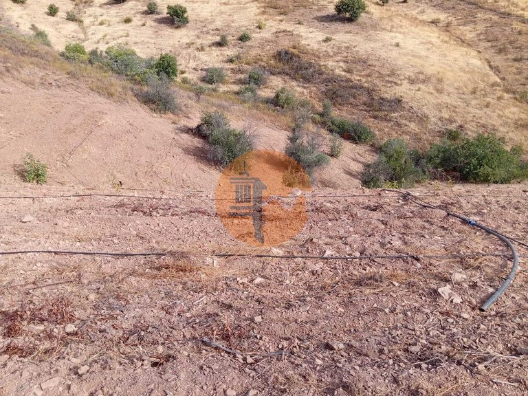 Plot for Sale in Conceição, Tavira, Portugal 5