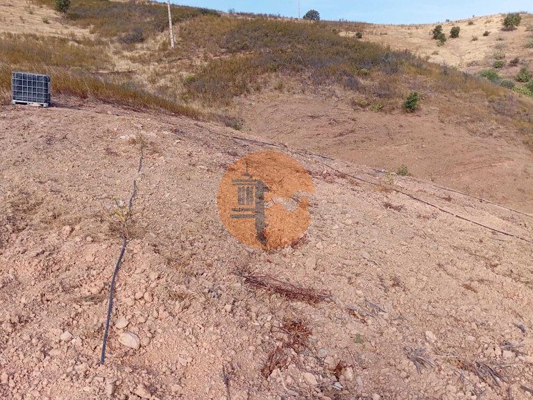 Plot for Sale in Conceição, Tavira, Portugal 8