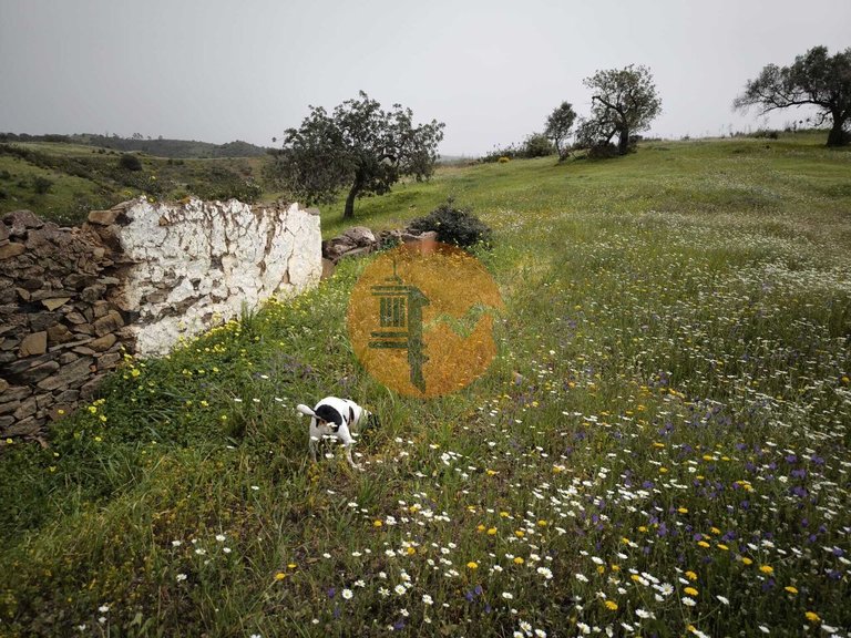 Plot for Sale in Castro Marim, Castro Marim, Portugal 28