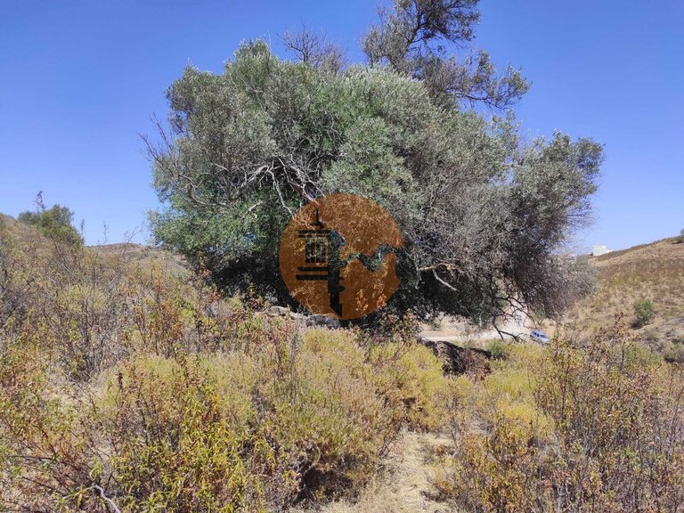 Plot for Sale in Castro Marim, Castro Marim, Portugal 7