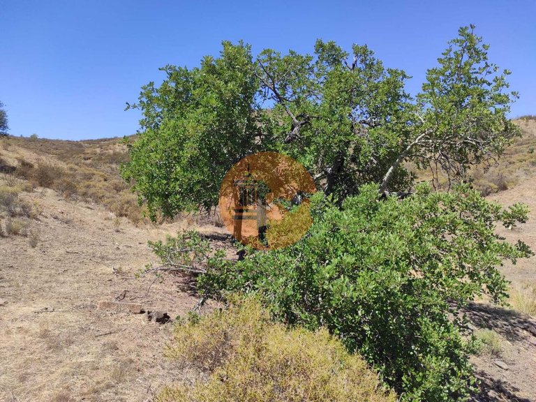Plot for Sale in Castro Marim, Castro Marim, Portugal 19