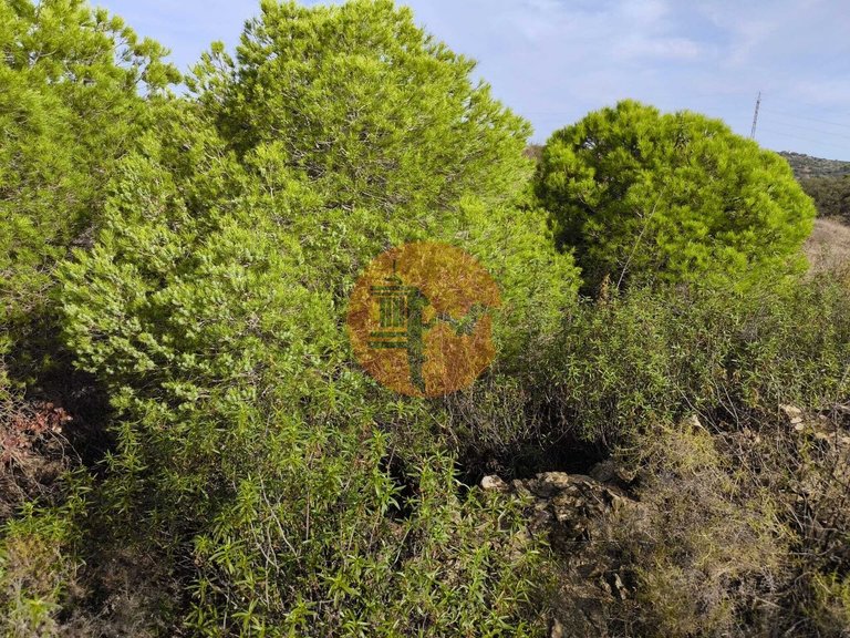 Plot for Sale in Castro Marim, Castro Marim, Portugal 3