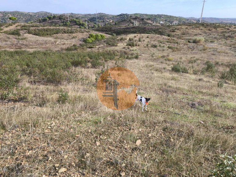 Plot for Sale in Castro Marim, Castro Marim, Portugal 10