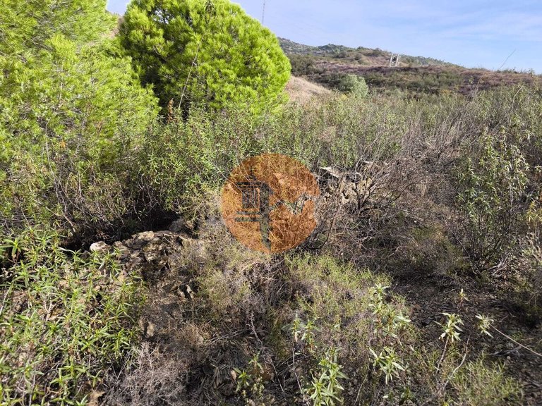 Plot for Sale in Castro Marim, Castro Marim, Portugal 11