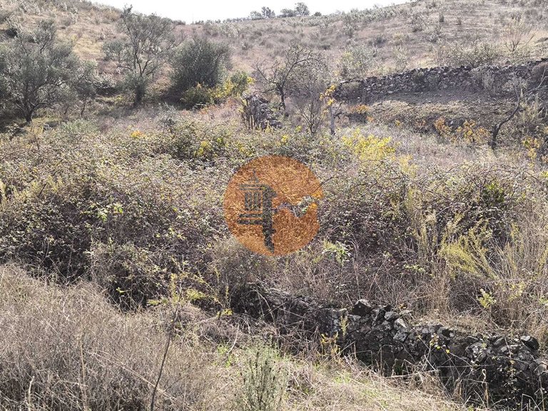 Plot for Sale in Castro Marim, Castro Marim, Portugal 18
