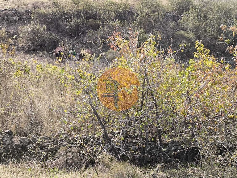 Plot for Sale in Castro Marim, Castro Marim, Portugal 19