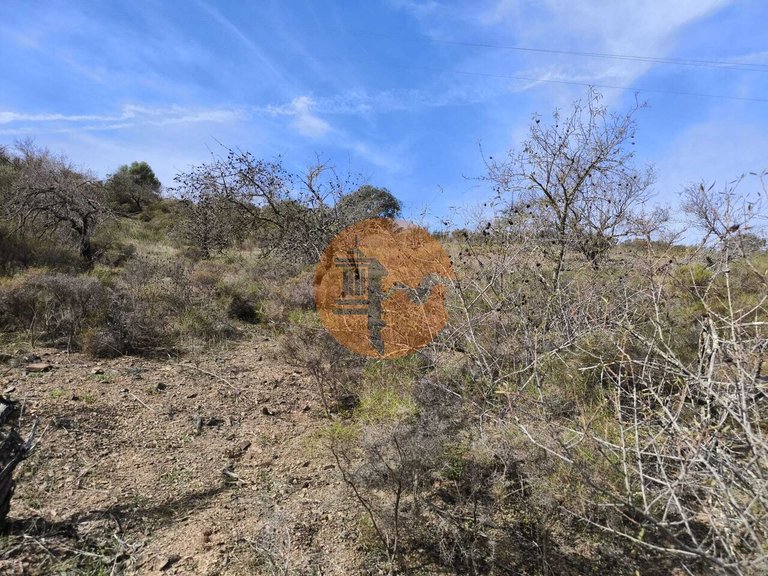 Plot for Sale in Castro Marim, Castro Marim, Portugal 8