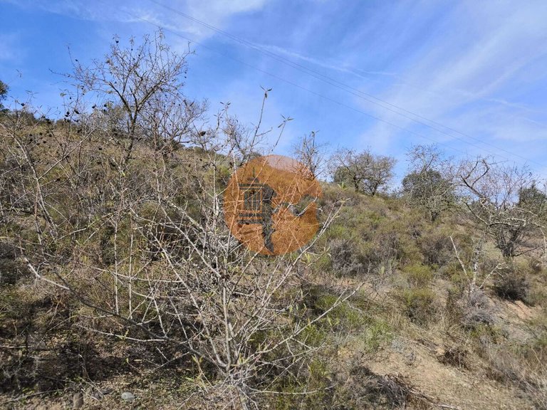 Plot for Sale in Castro Marim, Castro Marim, Portugal 9