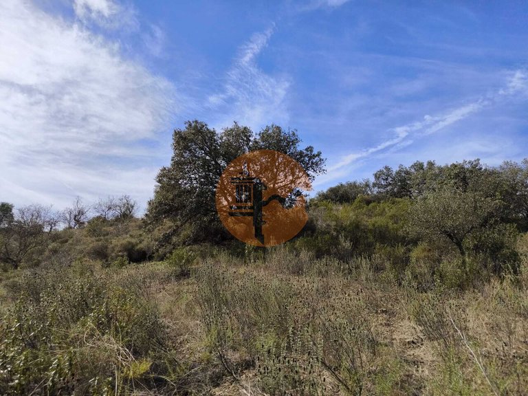 Plot for Sale in Castro Marim, Castro Marim, Portugal 13
