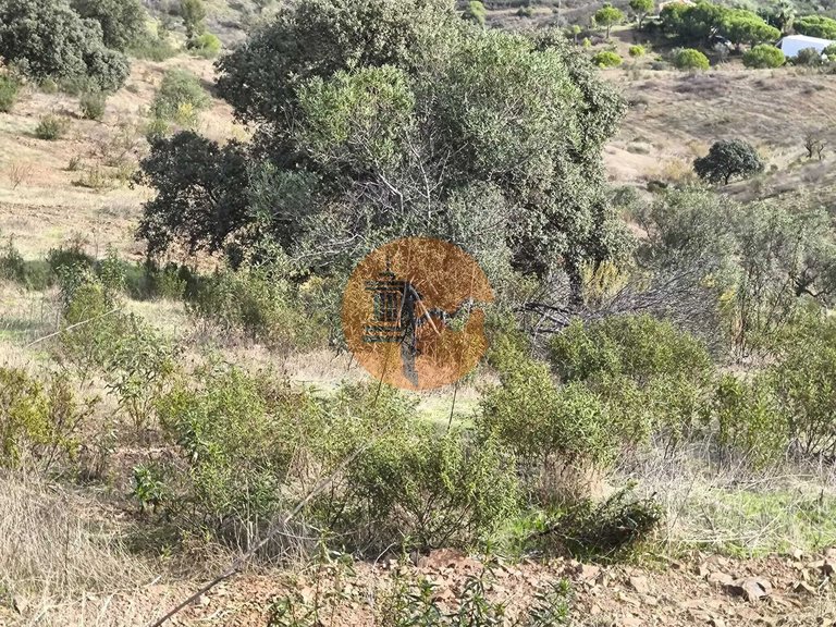 Plot for Sale in Castro Marim, Castro Marim, Portugal 3