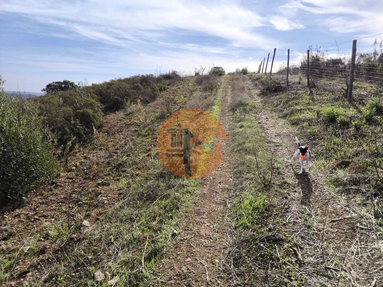 Plot for Sale in Castro Marim, Castro Marim, Portugal 13