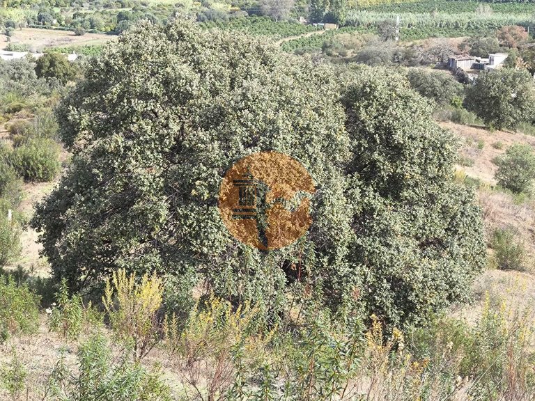 Plot for Sale in Castro Marim, Castro Marim, Portugal 14