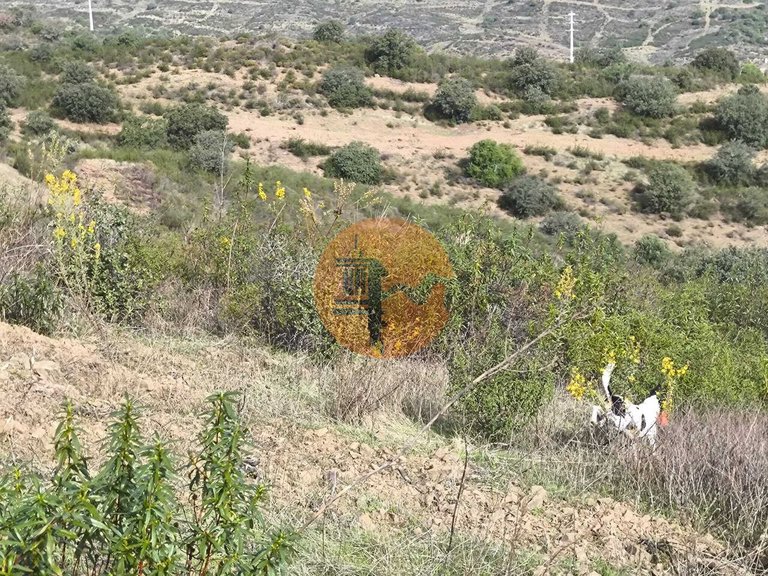 Plot for Sale in Castro Marim, Castro Marim, Portugal 22