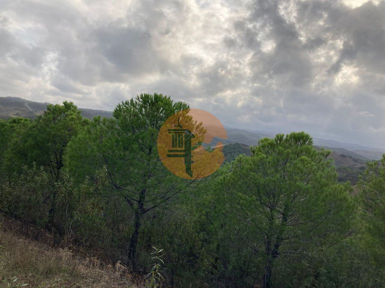 Plot for Sale in Azinhal, Castro Marim, Portugal 5