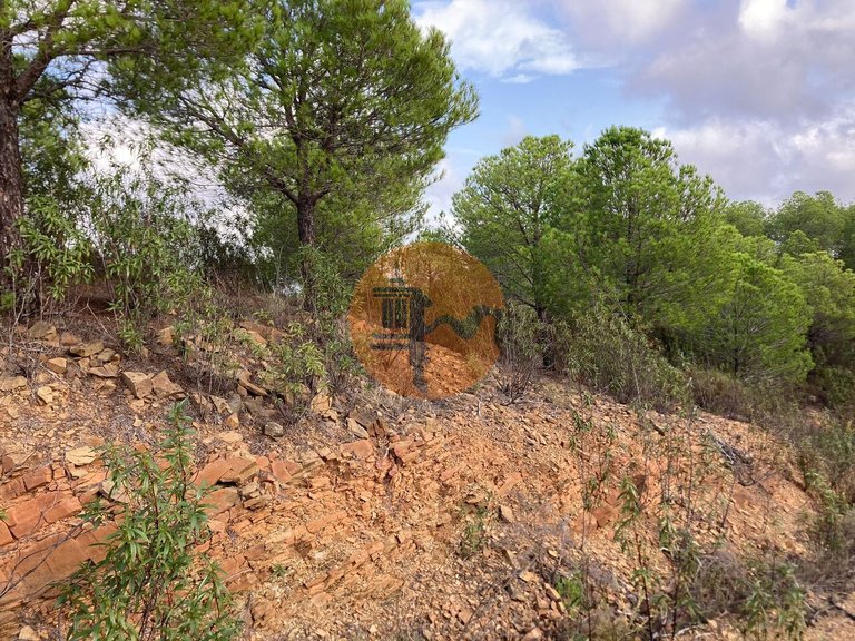 Plot for Sale in Azinhal, Castro Marim, Portugal 6