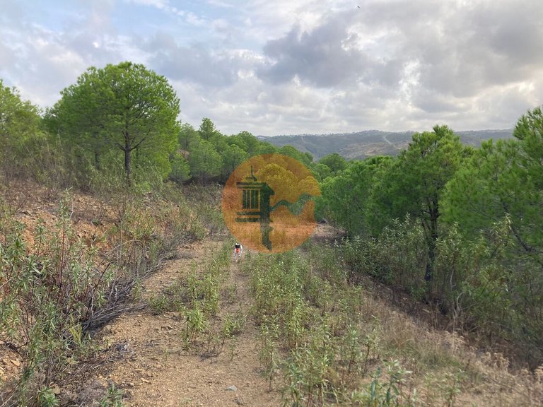 Plot for Sale in Azinhal, Castro Marim, Portugal 7