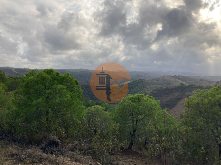 Plot for Sale in Azinhal, Castro Marim, Portugal 8