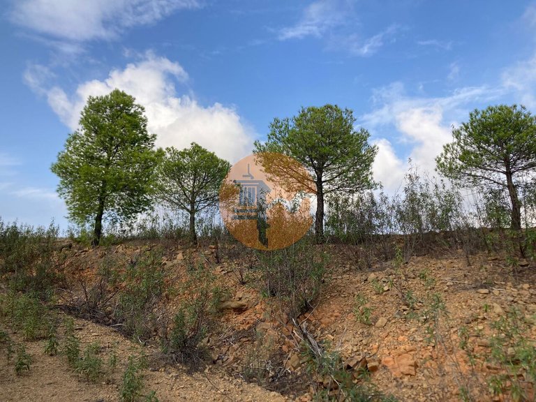 Plot for Sale in Azinhal, Castro Marim, Portugal 9