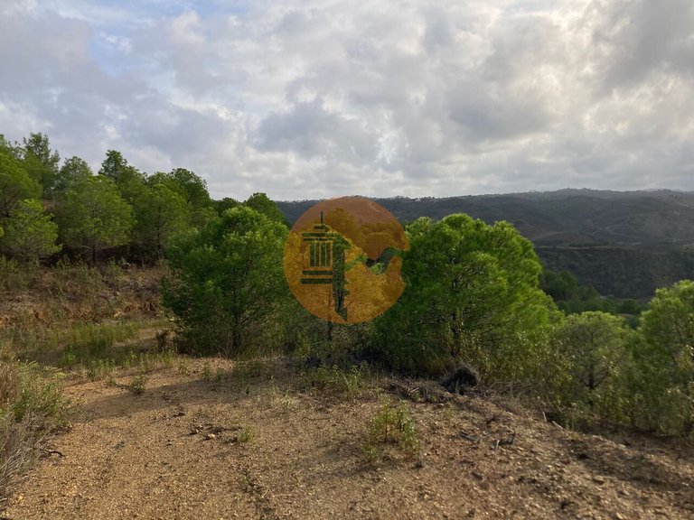 Plot for Sale in Azinhal, Castro Marim, Portugal 16