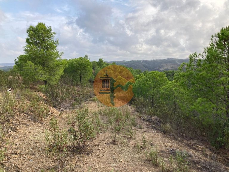 Plot for Sale in Azinhal, Castro Marim, Portugal 19