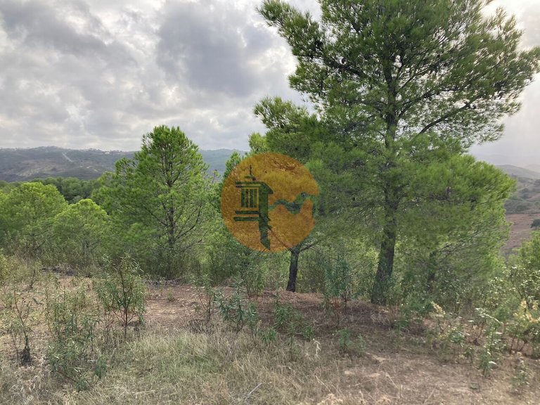 Plot for Sale in Azinhal, Castro Marim, Portugal 21