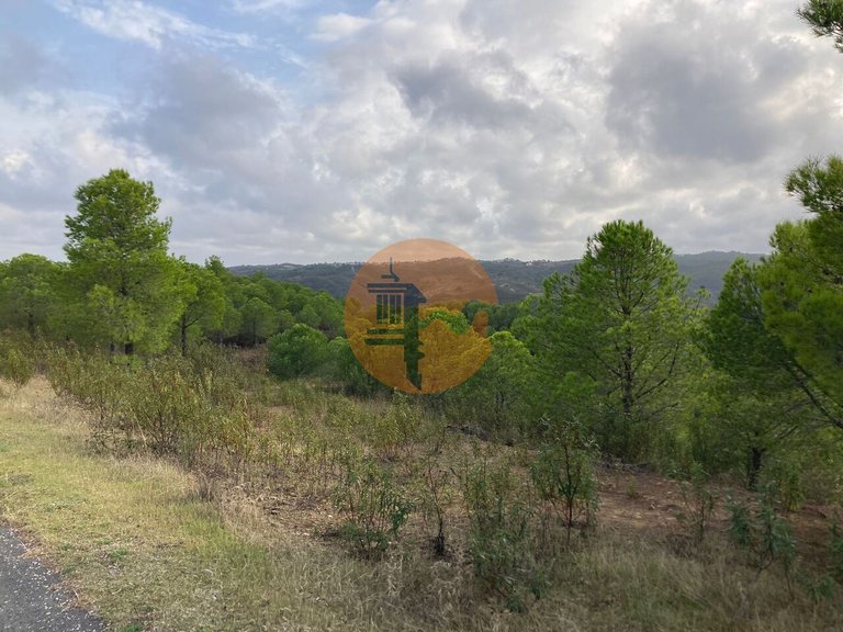 Plot for Sale in Azinhal, Castro Marim, Portugal 22