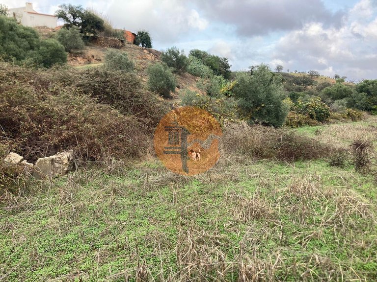 Plot for Sale in Odeleite, Castro Marim, Portugal 12