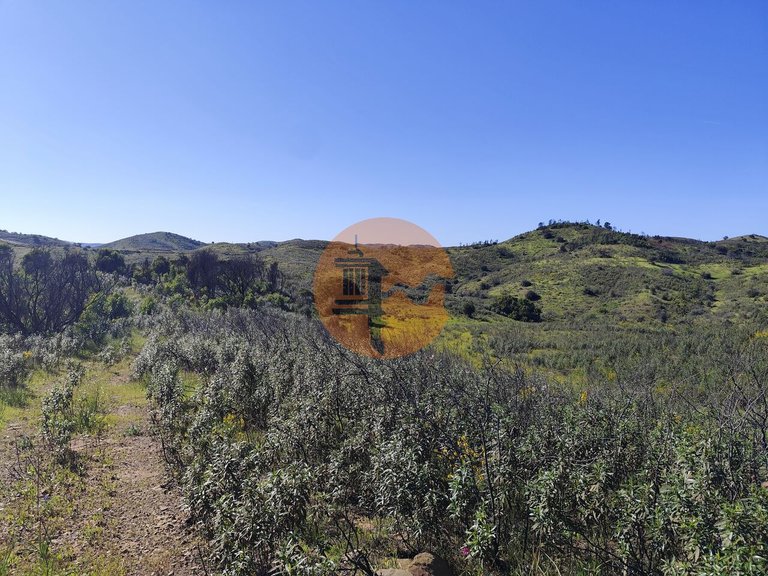 Plot for Sale in Conceição, Tavira, Portugal 3