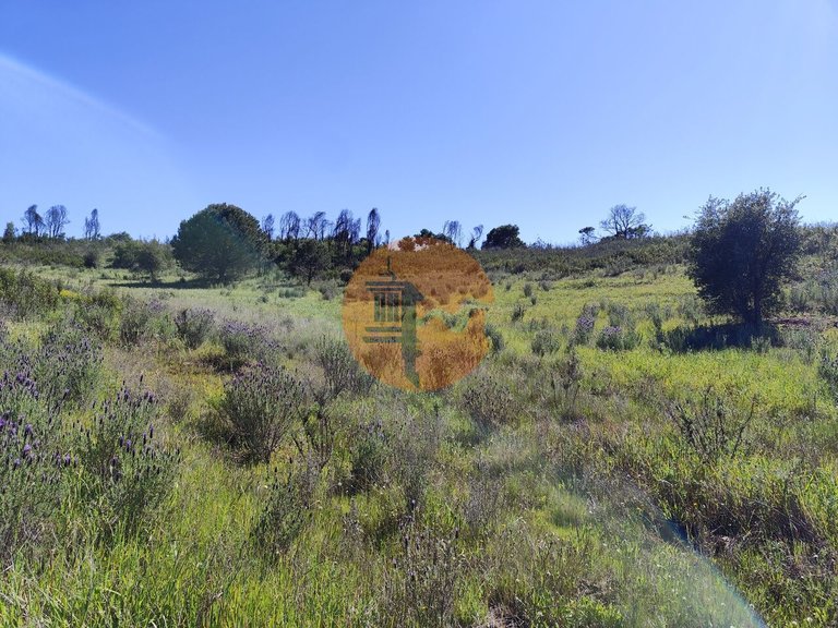 Plot for Sale in Conceição, Tavira, Portugal 4