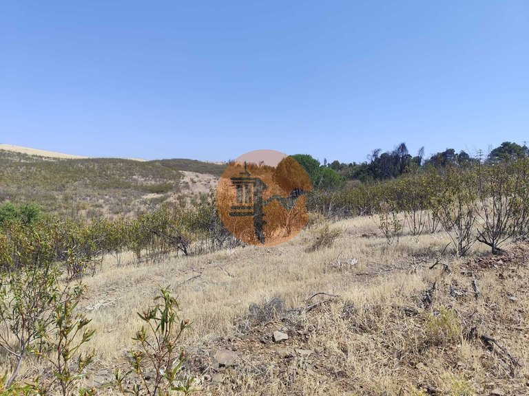 Plot for Sale in Conceição, Tavira, Portugal 6