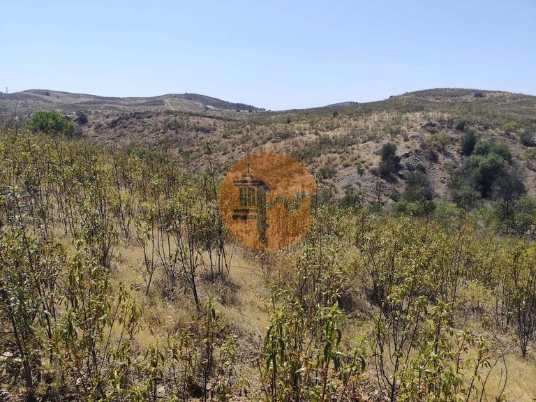 Plot for Sale in Conceição, Tavira, Portugal 7