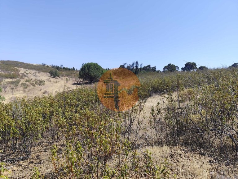 Plot for Sale in Conceição, Tavira, Portugal 9