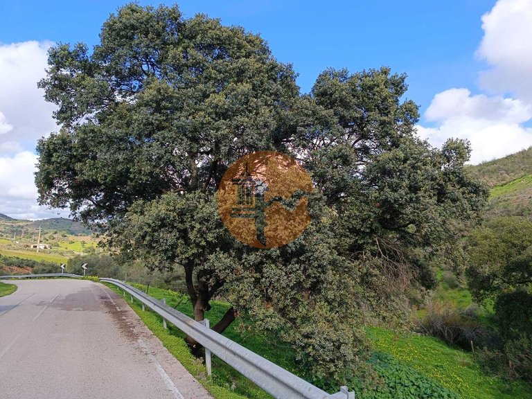 Plot for Sale in Castro Marim, Castro Marim, Portugal 23