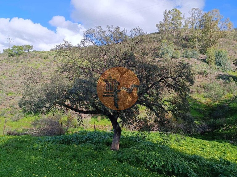 Plot for Sale in Castro Marim, Castro Marim, Portugal 24