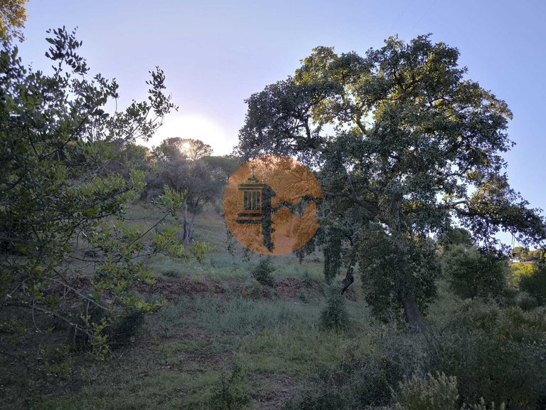 Plot for Sale in Azinhal, Castro Marim, Portugal 6