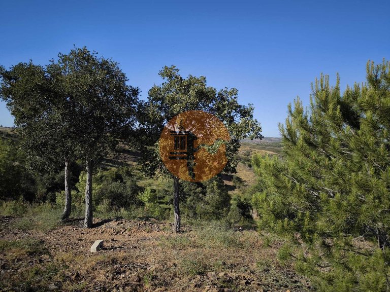 Plot for Sale in Azinhal, Castro Marim, Portugal 10