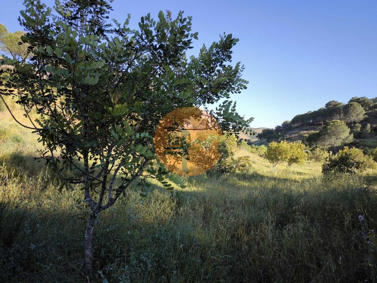 Plot for Sale in Azinhal, Castro Marim, Portugal 13