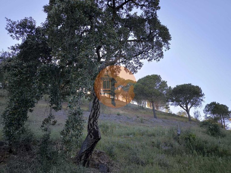 Plot for Sale in Azinhal, Castro Marim, Portugal 22