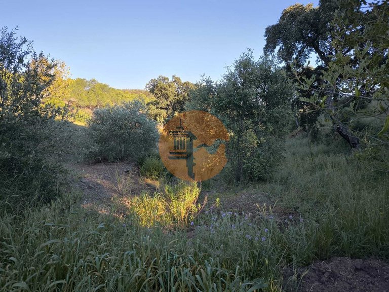 Plot for Sale in Azinhal, Castro Marim, Portugal 23