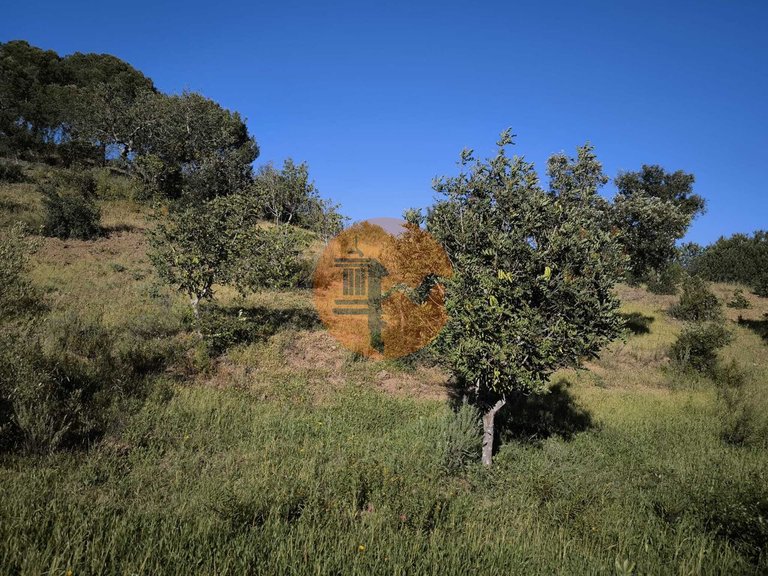 Plot for Sale in Azinhal, Castro Marim, Portugal 24