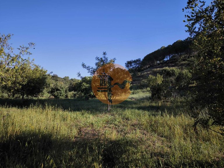 Plot for Sale in Azinhal, Castro Marim, Portugal 26