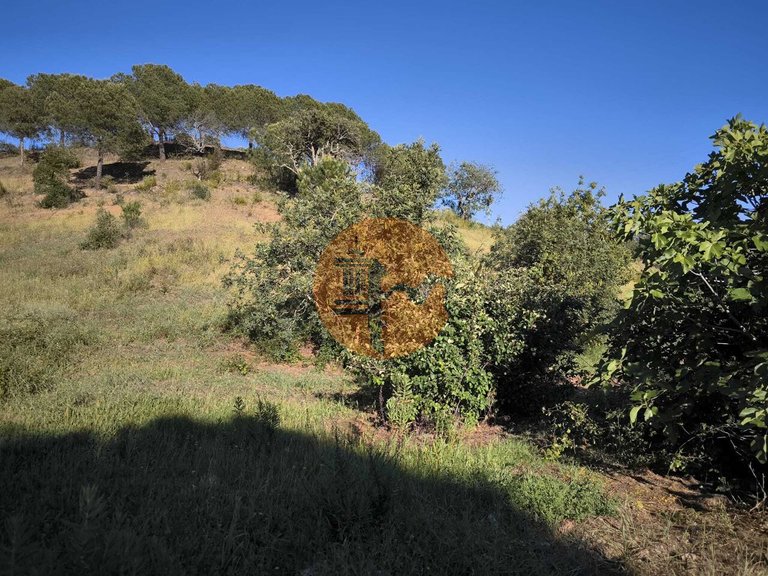 Plot for Sale in Azinhal, Castro Marim, Portugal 28