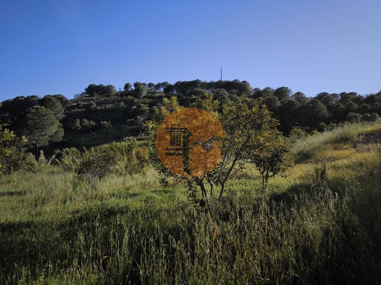 Plot for Sale in Azinhal, Castro Marim, Portugal 30