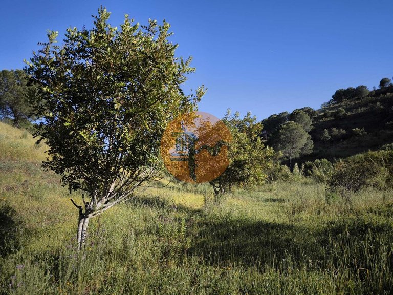 Plot for Sale in Azinhal, Castro Marim, Portugal 32